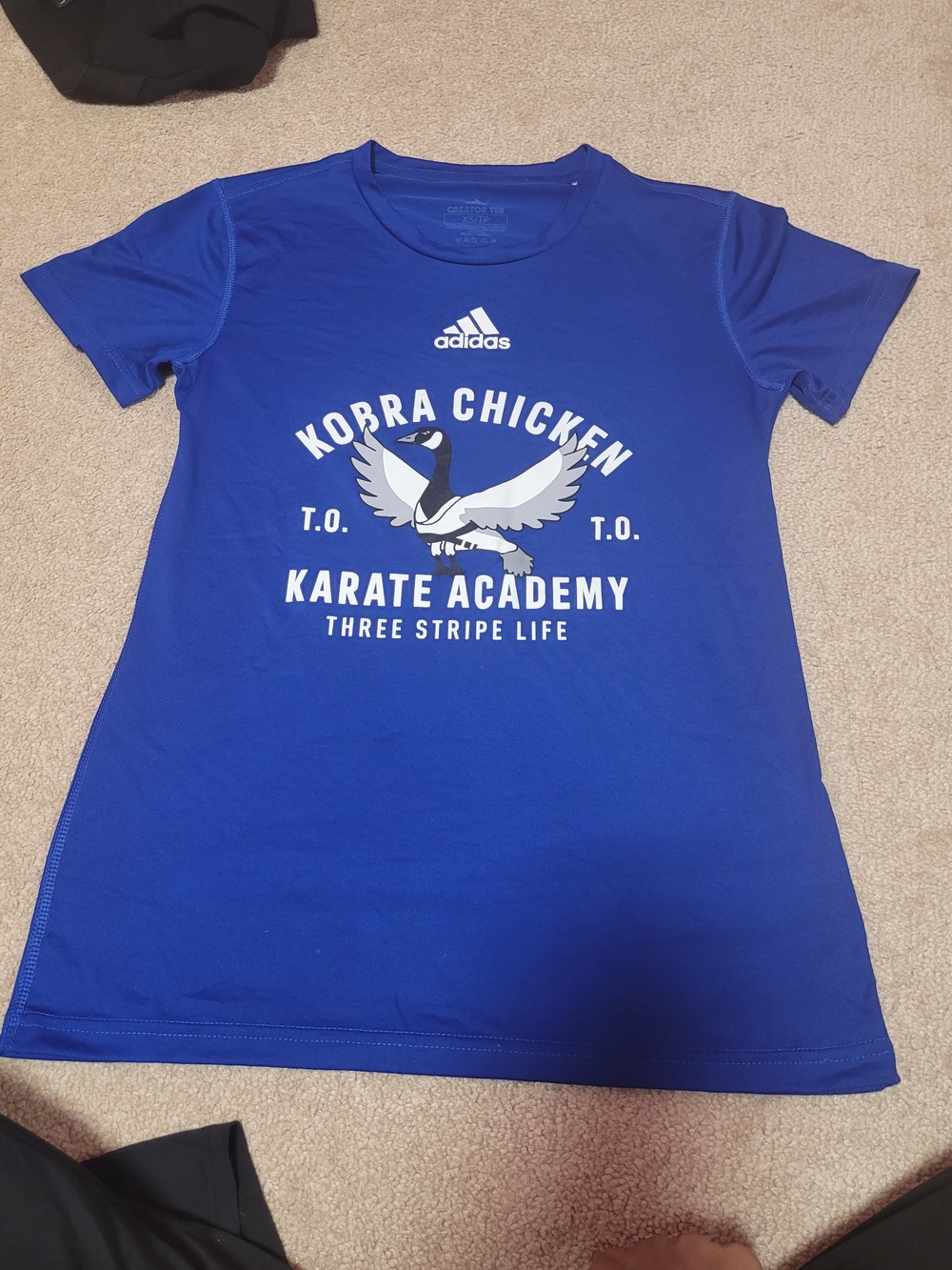 adidas Blue Korra Chicken Karate Academy Graphic Tee